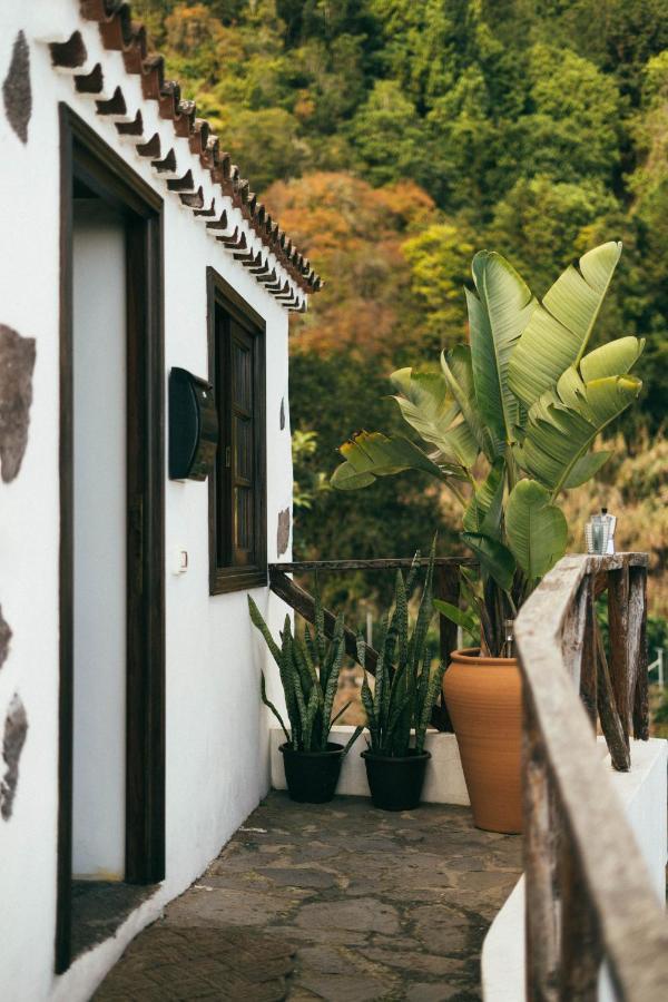 Las Casitas Del Bebedero - Yoga & Ecoturismo Icod De Los Vinos Buitenkant foto