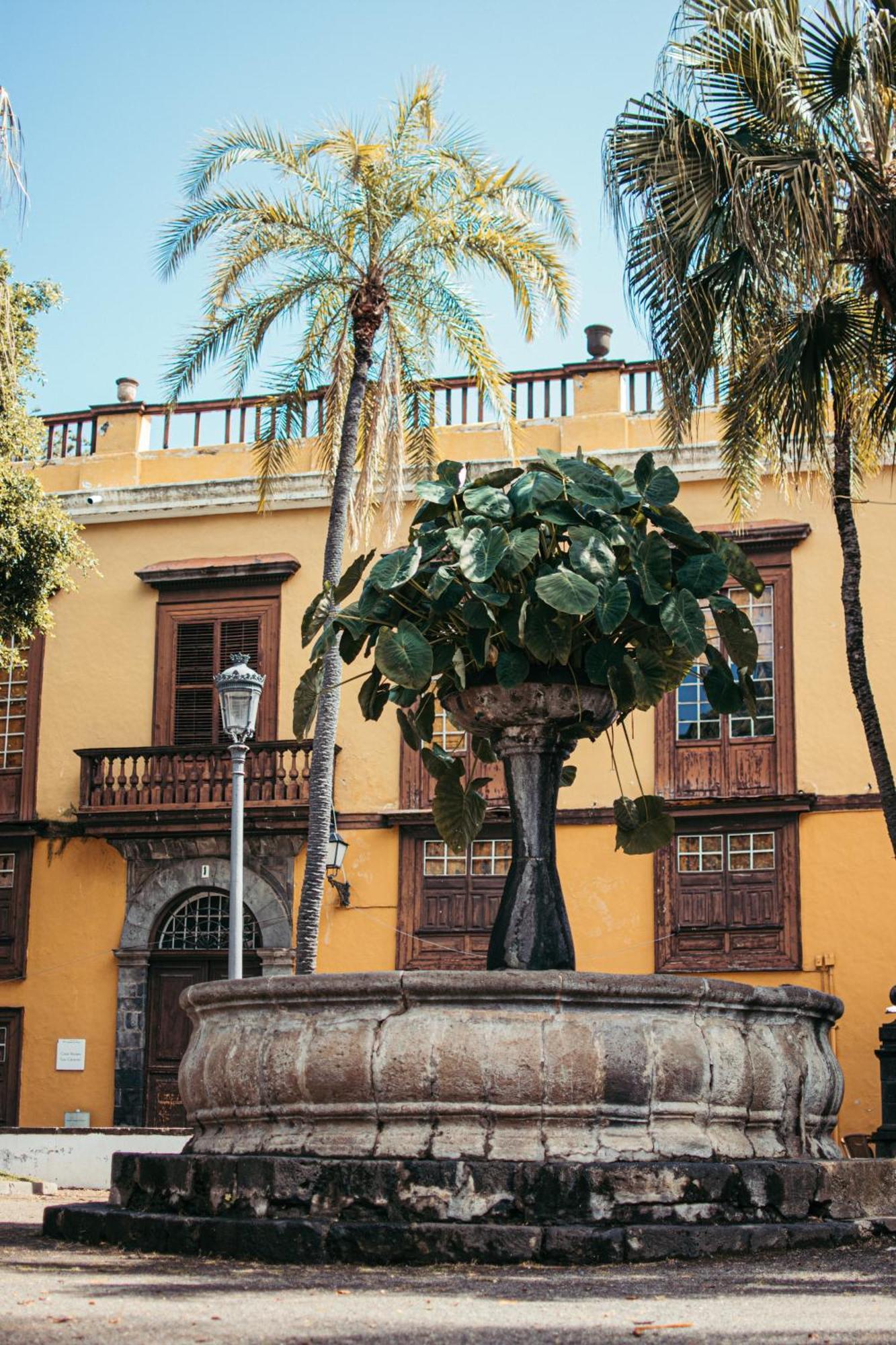 Las Casitas Del Bebedero - Yoga & Ecoturismo Icod De Los Vinos Buitenkant foto